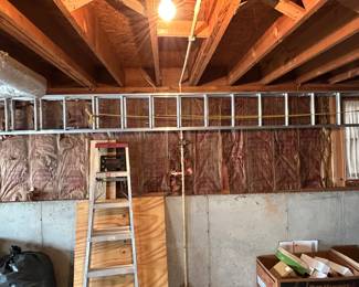 Extension Ladder and Telescoping Ladder