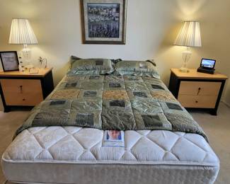 Queen Sealy Posturepedic Plush