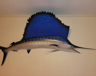 Huge 8ft Sailfish