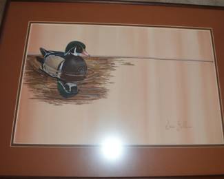 Waterfowl pictures and prints 