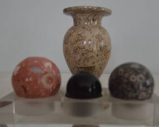 Coral Stone vase and spheres with sea creature inclusions 