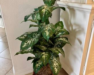 Imported from the plastic forest just for you.