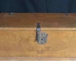 Old Wood Trunk