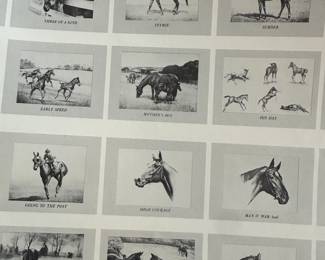 A STUNNING portfolio of C.W. Anderson Thoroughbred Race Horses! 1948! COMPLETE! 