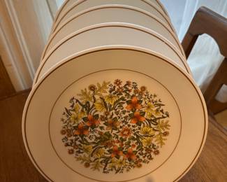 FANTASTIC set of 10 Vintage MCM Dinner Plates! 