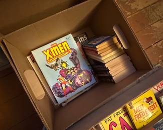 Got the keys on Tuesday! Here are the pics for the initial walk through! We did not open any boxes or totes! This is just what was out waiting for us! More detailed photos added almost daily starting this week! Comics, graphic novels and more! 