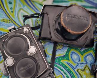 Several vintage cameras 