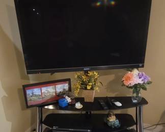 TV and stand sold as a set.  TV works great.