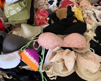 womens clothing (undergarments, bras)