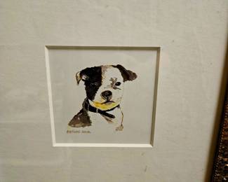 Cute pup in amazing frame