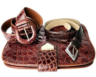 Bally Alligator Clutch & 2 Belts Bally & Vero Coccodrillo