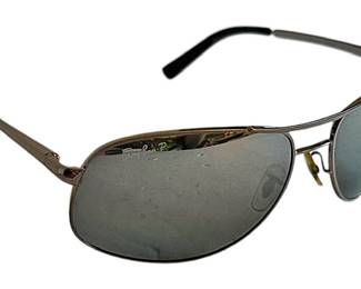 Polarized RayBan Aviator Sunglasses
