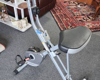 Exerpeutic exercise bike