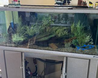 Another shot of the 100+ gallon fish tank by Oceanic Systems.