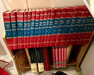 Book Shelf with Books
