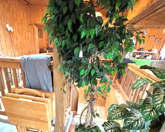 Artificial Plants & TV Trays