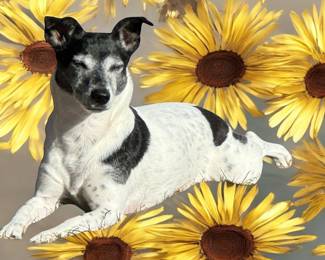 Dreaming of warmer days ahead…