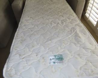 Twin size sleeper sofa.