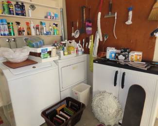 Plastic storage cabinet, cleaning supplies, skateborad.  Tools, light bulbs.