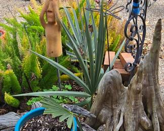 Yard Decor - Plants