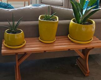 Wooden Bench - House Plants