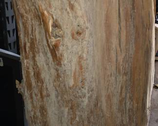 Large Wood Trunk perfect for Carving or Pedestal 