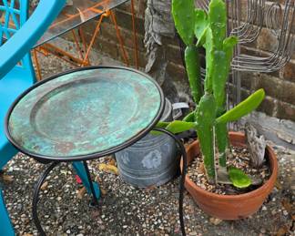 More Plants