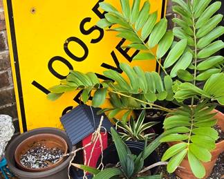 Loose Gravel Sign - Birdhouse - More Plants