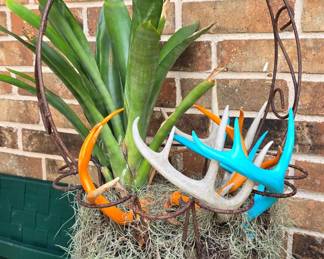 Cool Hanging Basket