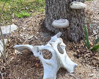 Yard Decor 