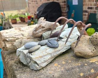 Petrified Rocks
