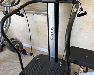 Lifepro Rhythm Vibration Exercise Machine, $145