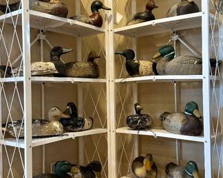 Duck Decoys