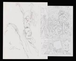 Two Animation Drawings Featuring Phoenix