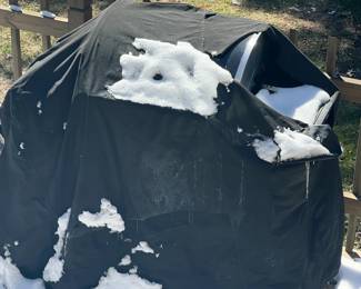 Grillmaster Gas Grill (unable to photograph it due to the snow)