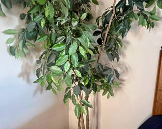 Faux Ficus Tree