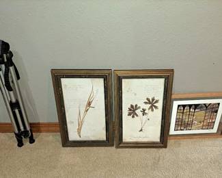 Tripod & More Pictures