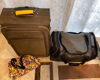 Some of the numerous luggage and travel bag pieces
