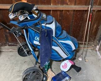 Ladies Golf Clubs