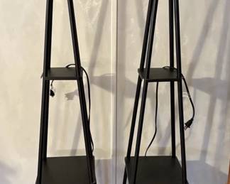 Two Floor Lamps