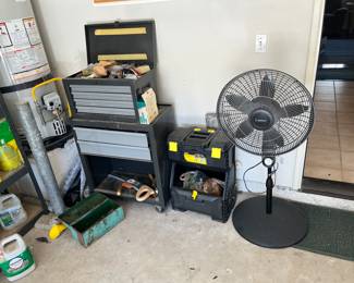 Fan for the coming hot summer days 