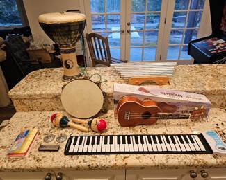 225 8MusicalInstruments
