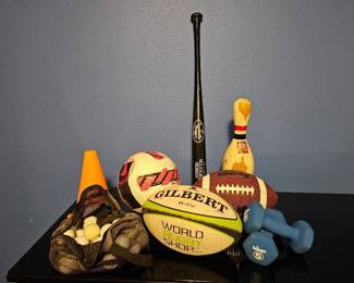 233 MiscellaneousSportsLot