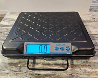 235 SalterBrecknellGP250PortableElectronicUtilityBenchScale