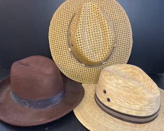 Men’s hats- Ben Sherman, Stetson, Dockers & more 