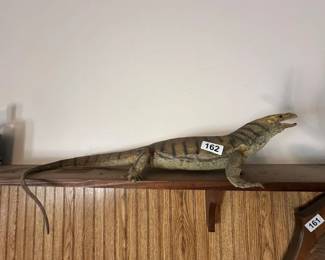 TAXIDERMY IGUANA