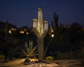 Desert Steel saguaro cactus illuminated.