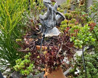 Beautiful succulents everywhere!