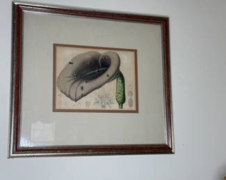 Antique Lithograph