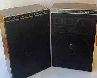 Pioneer Speaker System 